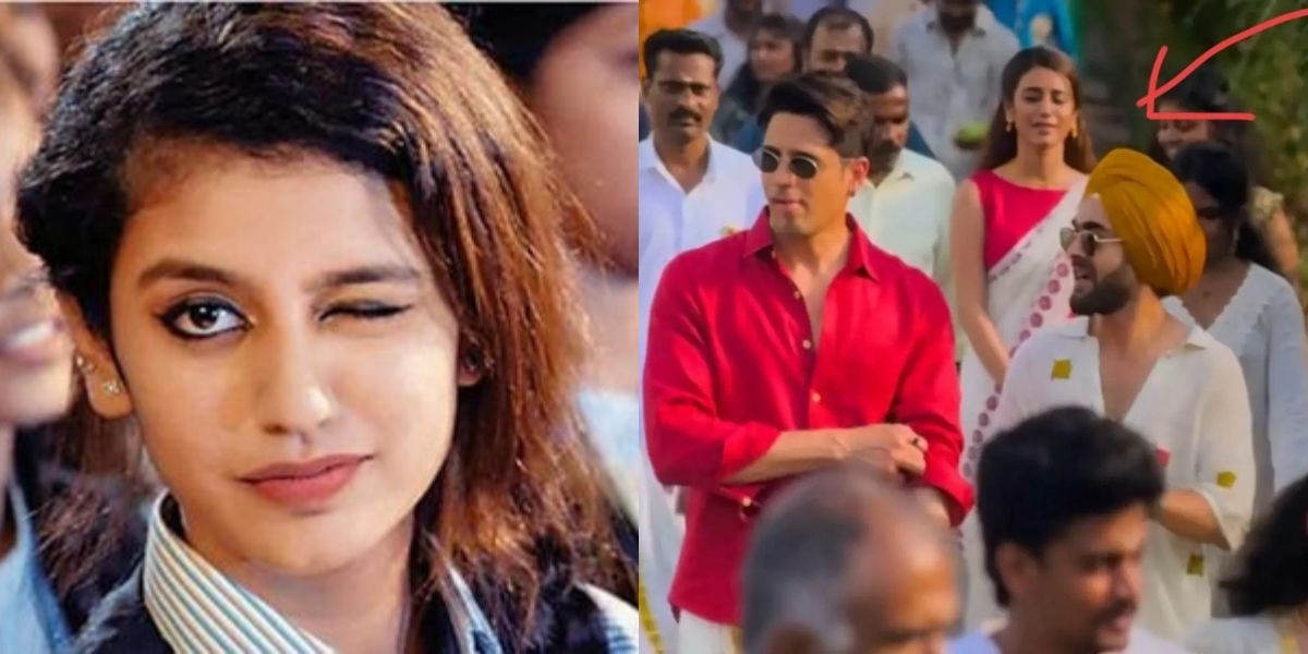 Priya-Prakash-Varrier-Became-A-Star-With-A-Wink-Then-Why-Did-She-Remain-Confined-To-Only-Background-Roles