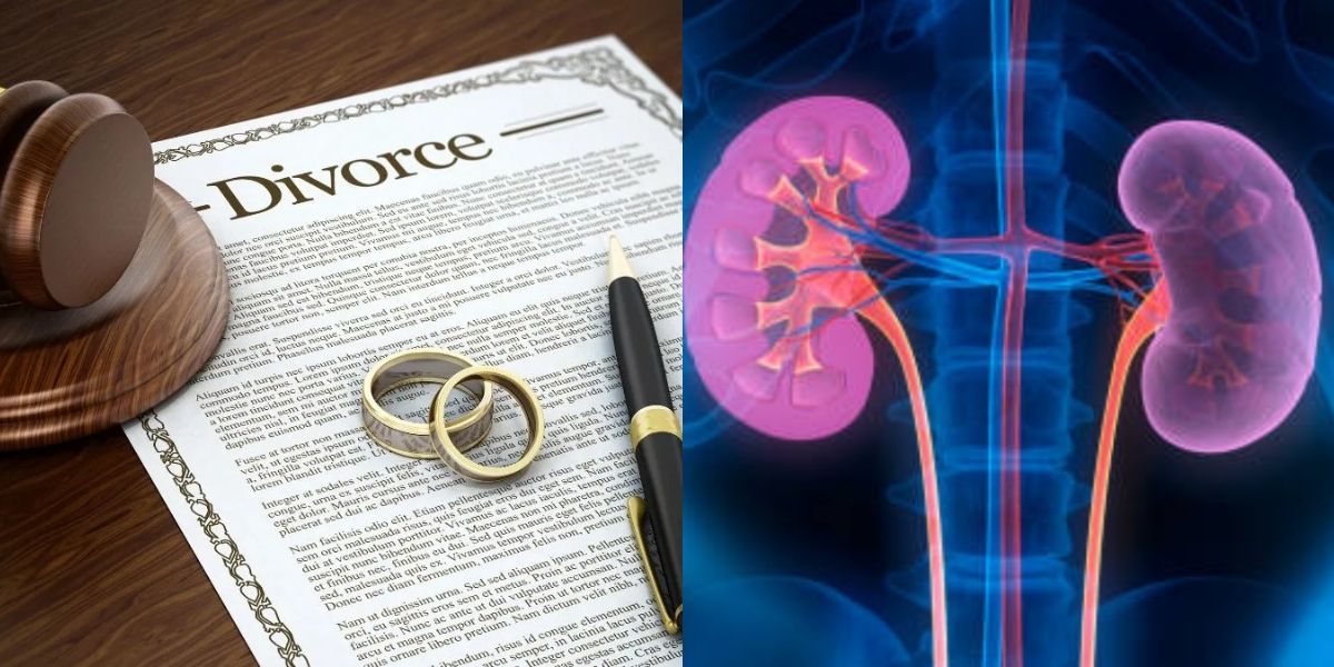 The-Strangest-Divorce-Case-After-The-Marriage-Ended-The-Husband-Demanded-His-Wifes-Kidney-And-Cash-Back