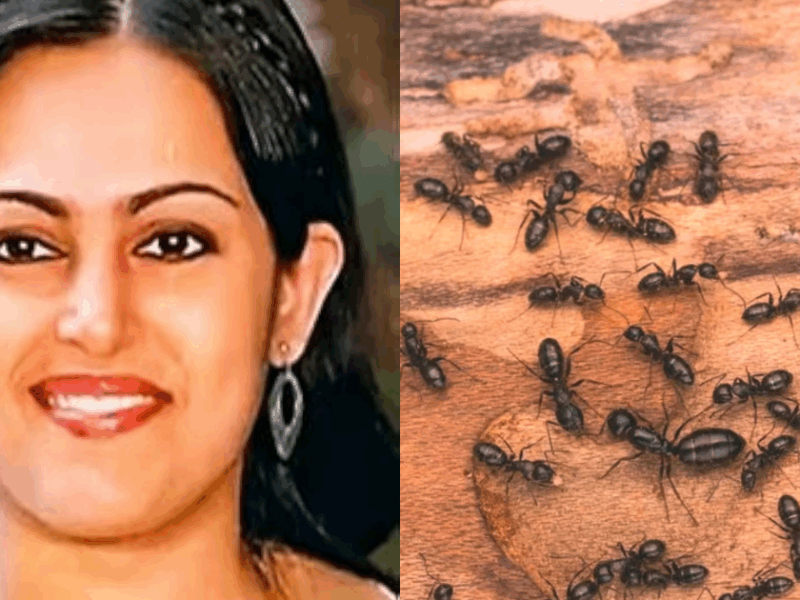 आखिरी समय में मिली एक्ट्रेस की लाश देखकर कांप उठे लोग, शरीर पर रेंग रही थीं चींटियां!