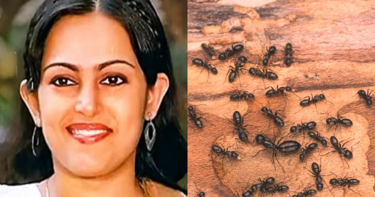 People-Were-Shocked-To-See-The-Dead-Body-Of-The-Actress-Found-At-The-Last-Moment-Ants-Were-Crawling-On-The-Body