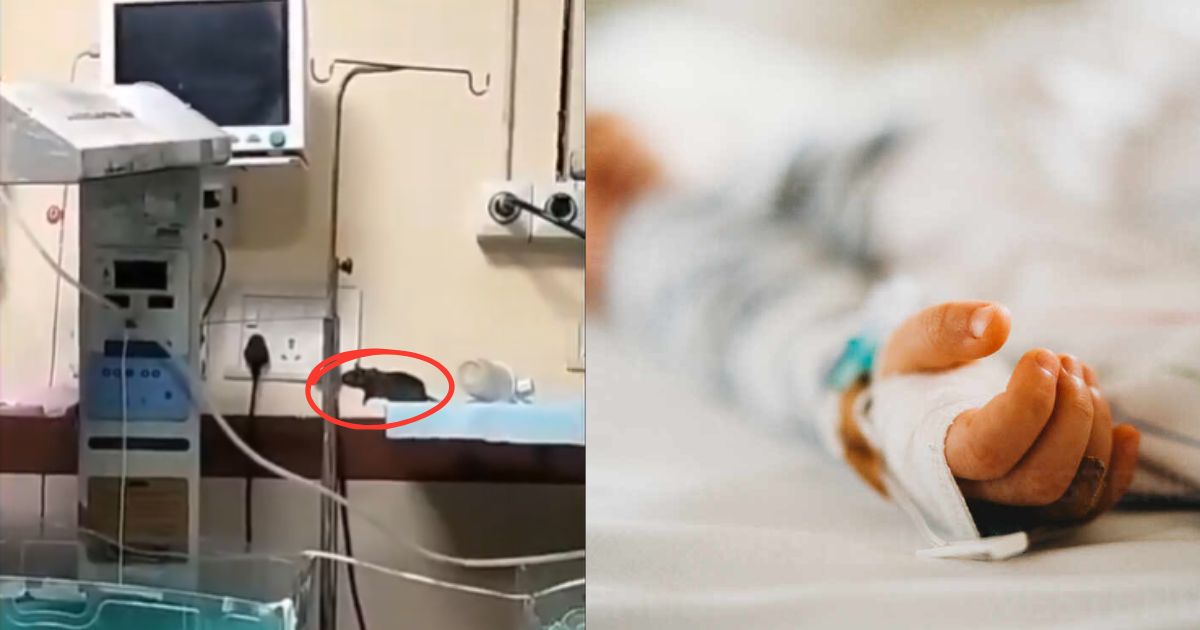 Rats-Bit-The-Hands-Of-Innocent-Newborns-The-Whole-Hospital-Was-Shaken-After-Seeing-The-Scene