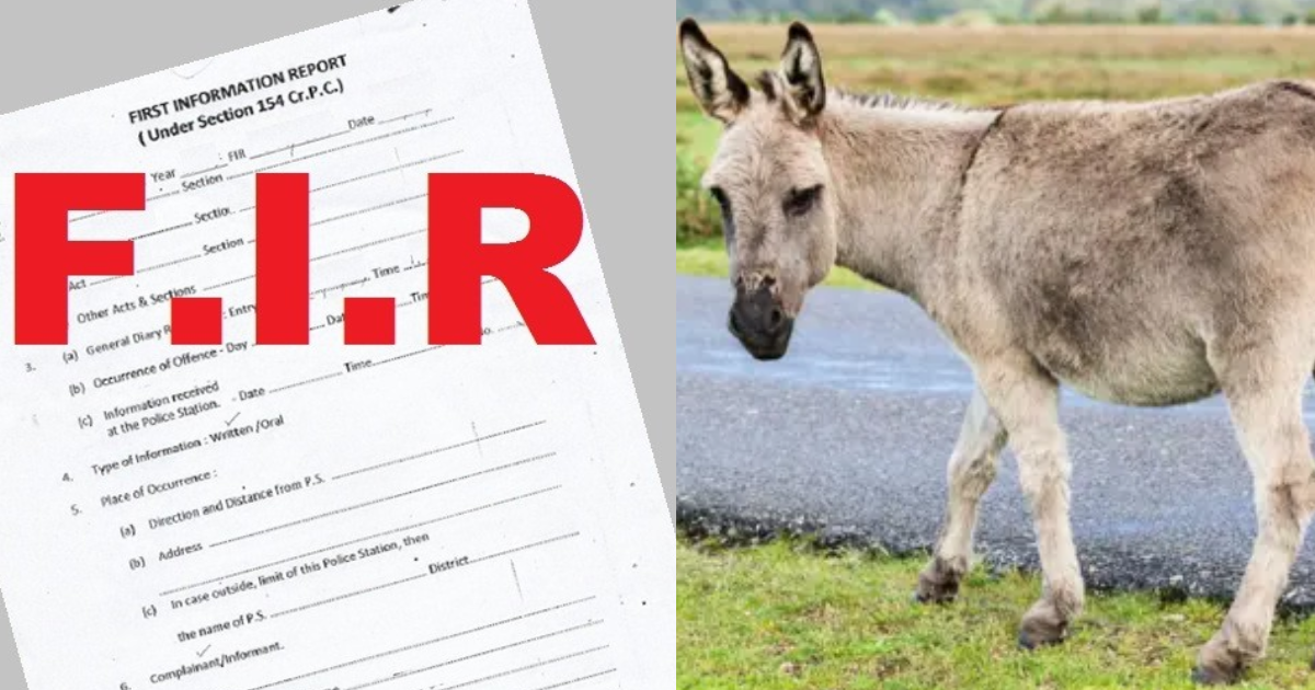 A-Strange-Case-Came-To-Light-From-Bihar-A-Donkey-Died-And-A-Case-Was-Filed-Against-55-People