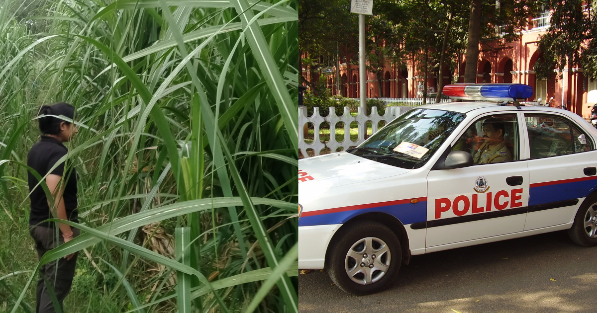 Terror Of Beasts In Meerut! Women Being Dragged Into Fields Naked