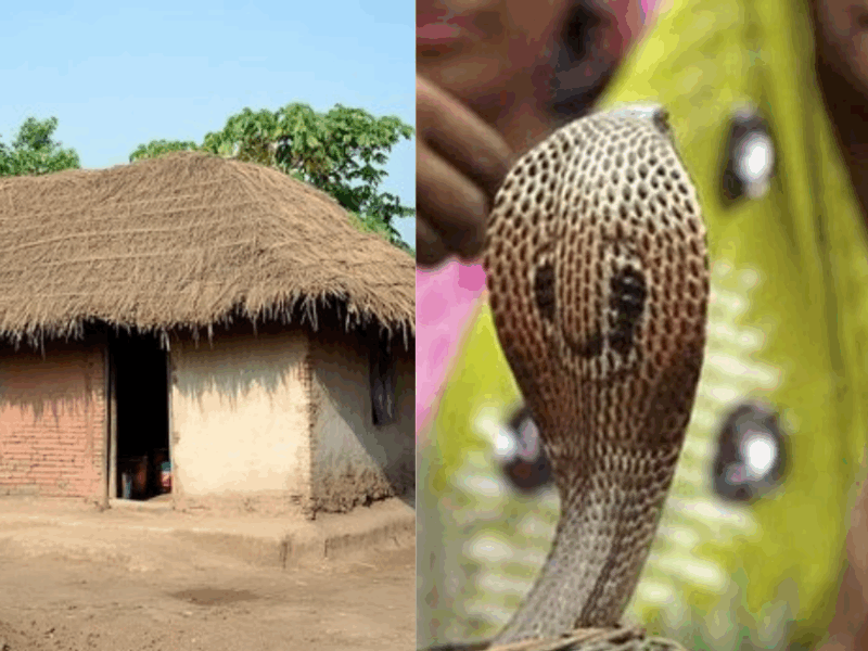 These-Villages-Of-India-Are-Different-From-Others-Some-Villages-Celebrate-Death-As-A-Festival-And-Some-Villages-Worship-Snakes-By-Keeping-Them
